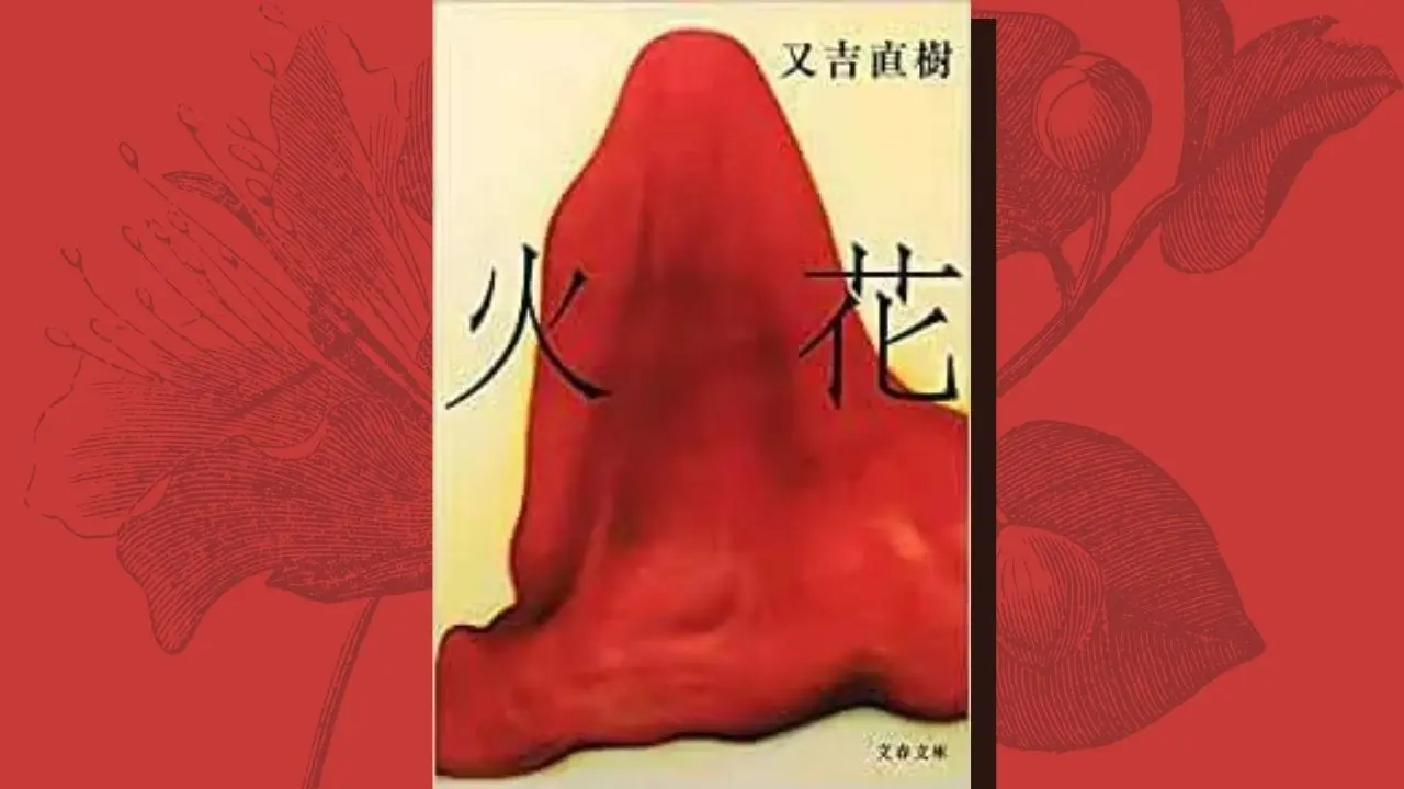 小説 火花 を3つのポイントで考察 作品の感想と概要まとめ